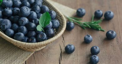 Blueberries benefits