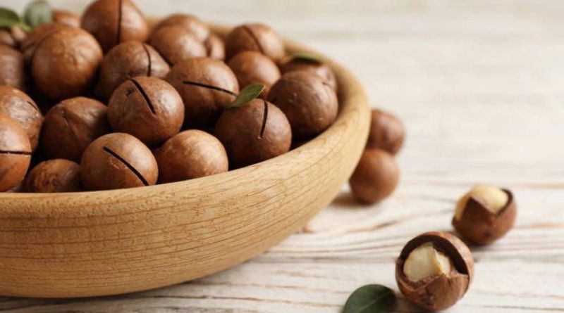Benefits Of Macadamia Nuts