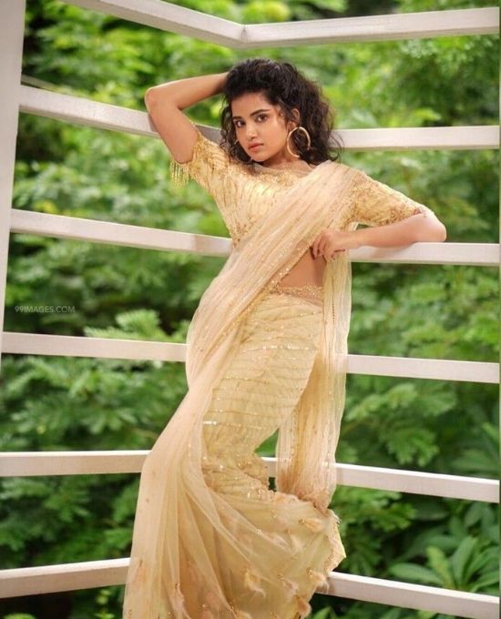 anupama in net saree