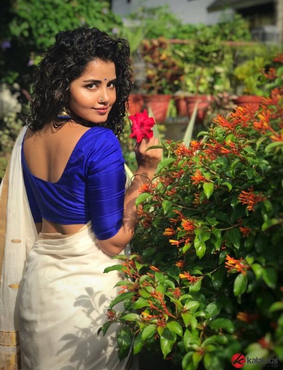 anupama parameswaran with blue blouse design